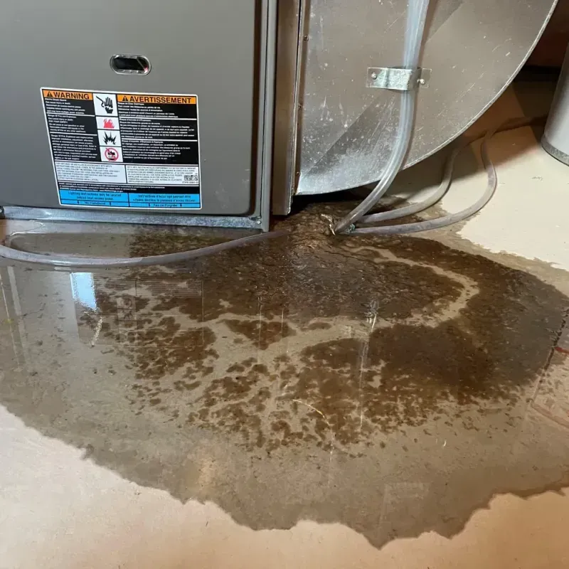 Appliance Leak Cleanup in Gaston County, NC